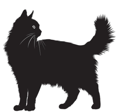 Angora Mizara
